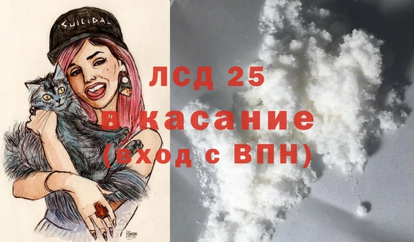 ГАЛЛЮЦИНОГЕННЫЕ ГРИБЫ Кулебаки