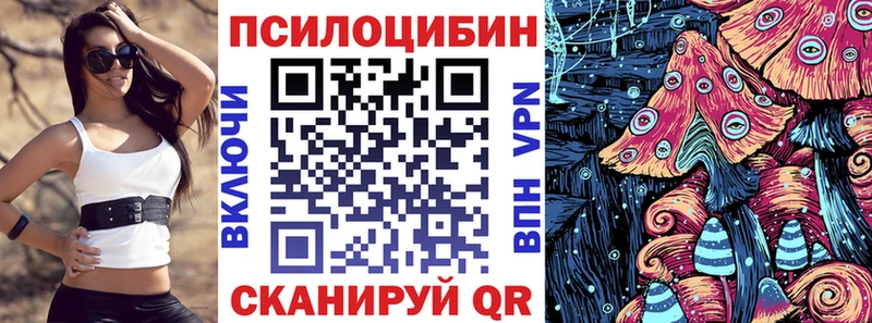 нарко площадка как зайти  Власиха  Псилоцибиновые грибы мицелий 